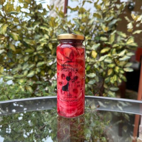 ITOPICKいとぴっく　糸島野菜のピクルス 赤玉葱とゴボウ×1