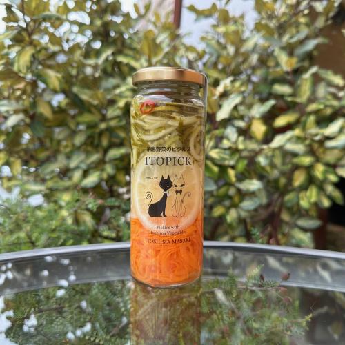 ITOPICKいとぴっく　糸島野菜のピクルス 人参・大根・胡瓜×1